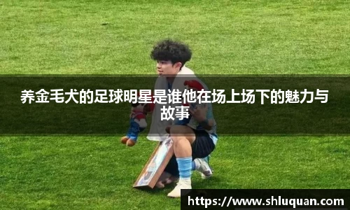 养金毛犬的足球明星是谁他在场上场下的魅力与故事